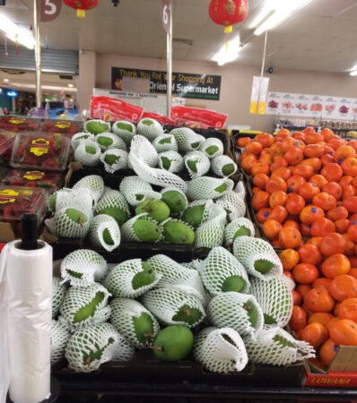 VIETNAM’S NORTHERN PROVINCE TO EXPORT MANGOES TO AUSTRALIA 3 IMG 20160921 125917
